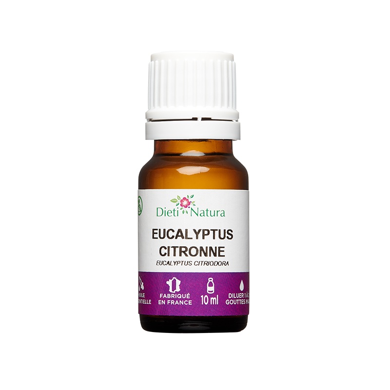 L'huile essentielle d'Eucalyptus Citronné pour repousser les moustiques