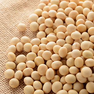 La lécithine de soja, pour le bon gras- Plantes et Santé
