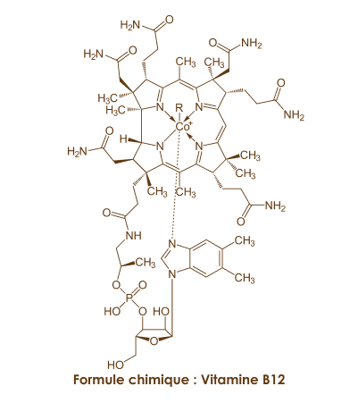 apparence-de-la-vitamine-b12