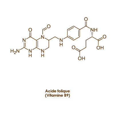 structure-mol_culaire-de-la-vitamine-b9